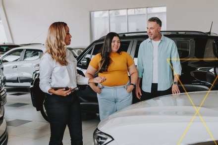 Vehicle Shoppers